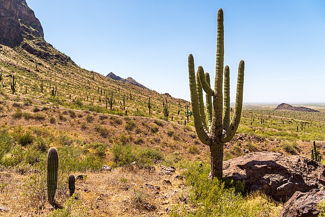 Picacho_Peak_State_Park_Arizona_USA
