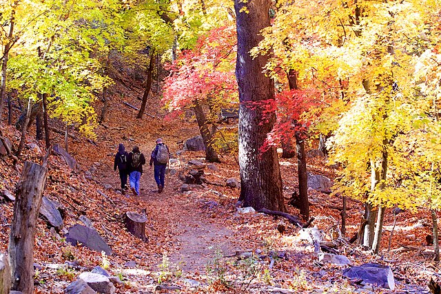 ramsey canyon preserve