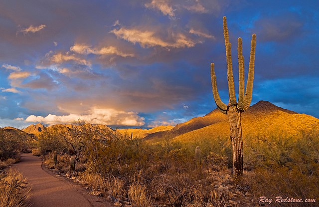 scottsdale_weather