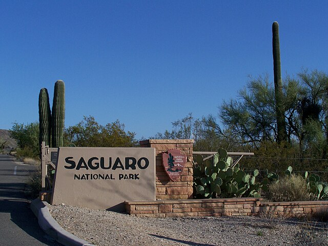saguaro national park
