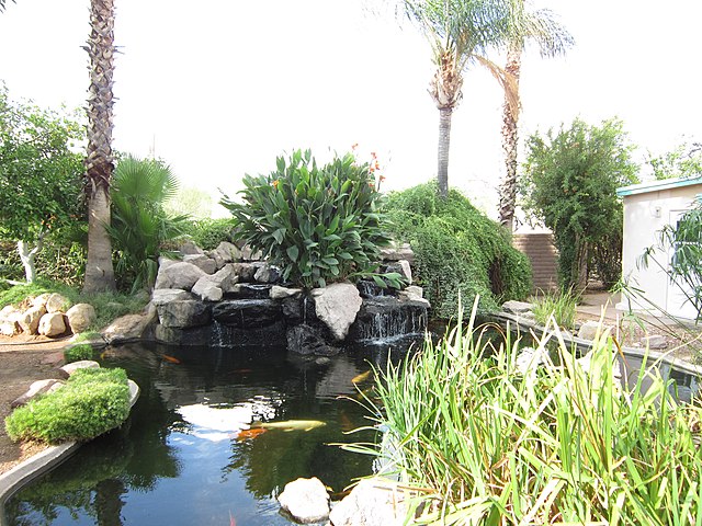 Sonoran_Desert_Museum