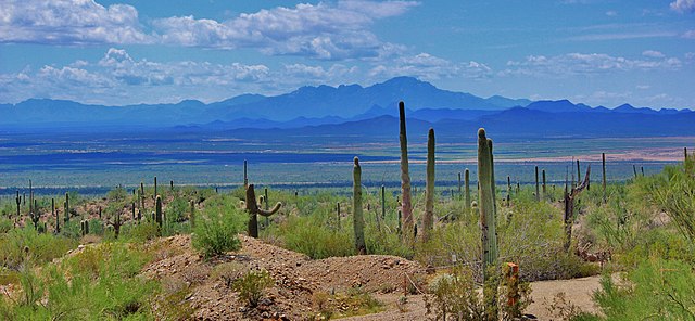 Sonoran_Desert