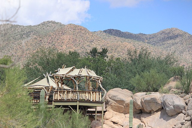 Sonoran_Desert_Museum_Arizona