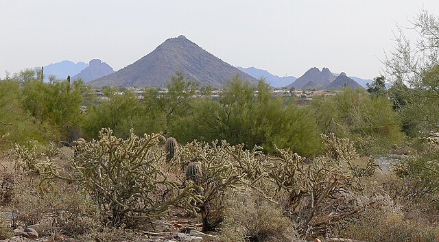 Sonoran_Desert_Scottsdale_AZ