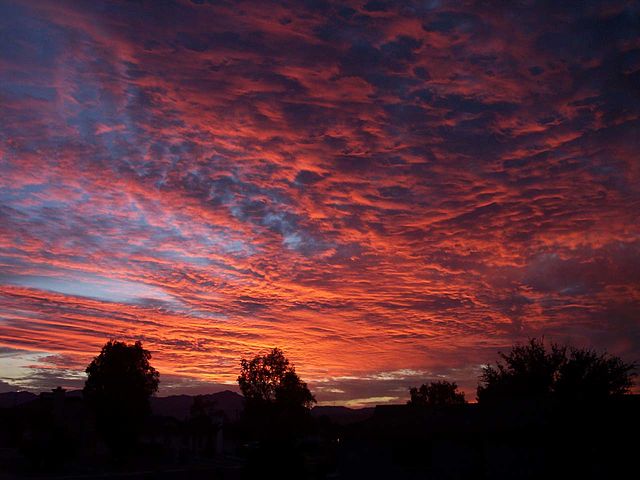 bullhead city weather