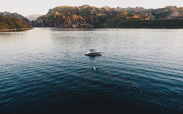 The_swim_Unsplash