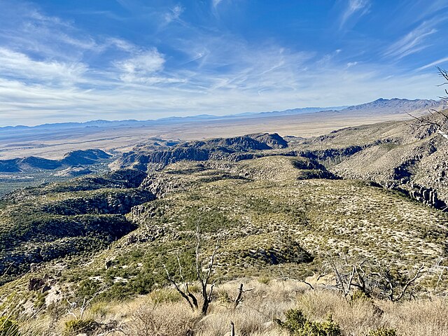 View_from_Sugarloaf_Mountain_Trail_Chiricahua_National_Monument_Willcox_AZ