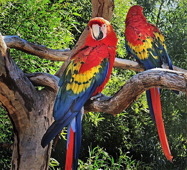 World_Wildlife_Zoo