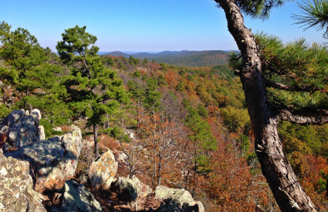 Ouachita_Mountains