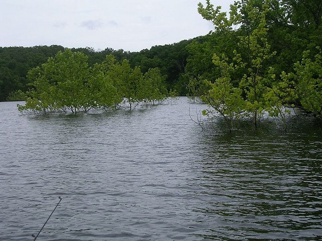 bull shoals lake