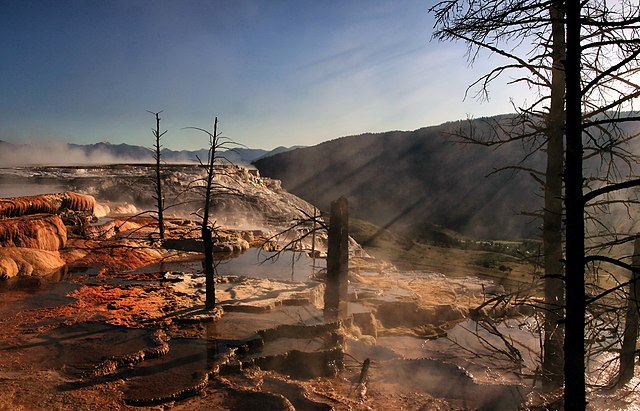 Crepuscular_rays_and_Dead_trees_at_Mammoth_Hot_Springs