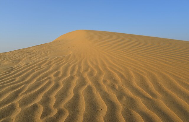 Thar Desert