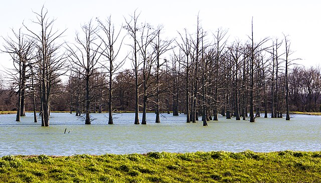 lake conway