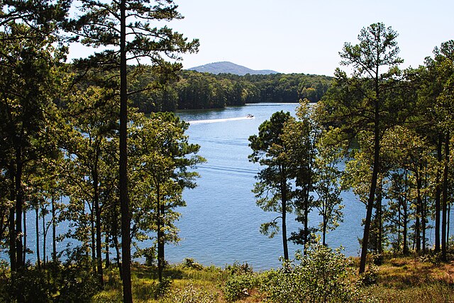 lake hamilton arkansas
