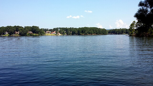 Lake_Hamilton_image