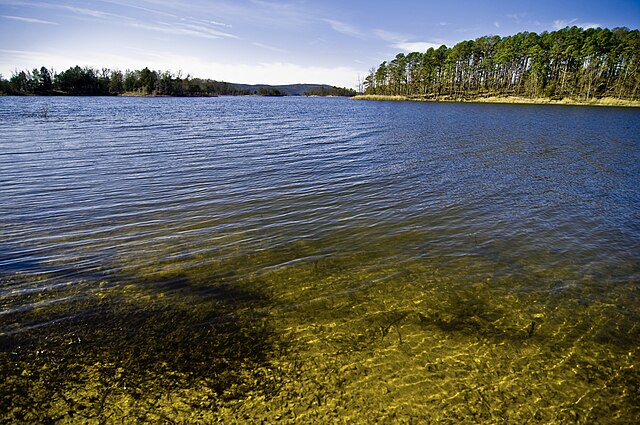 Lake_in_the_Ouachita_National_Forest_Arkansas