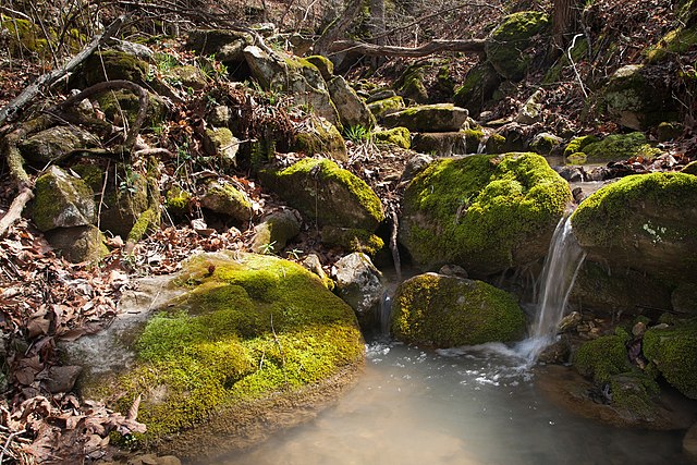Ozark_Stream