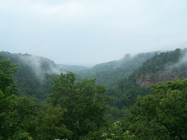 Petit_Jean_State_Park_view