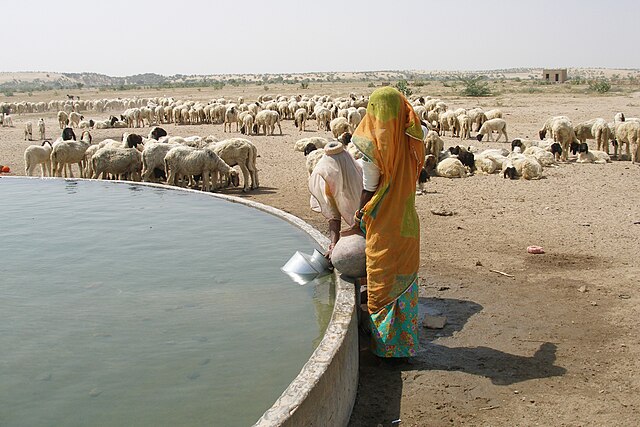 Thar_Desert_India_Water_well