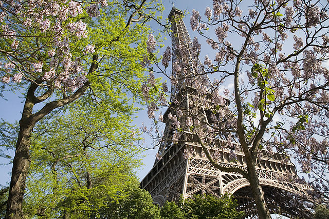 paris weather
