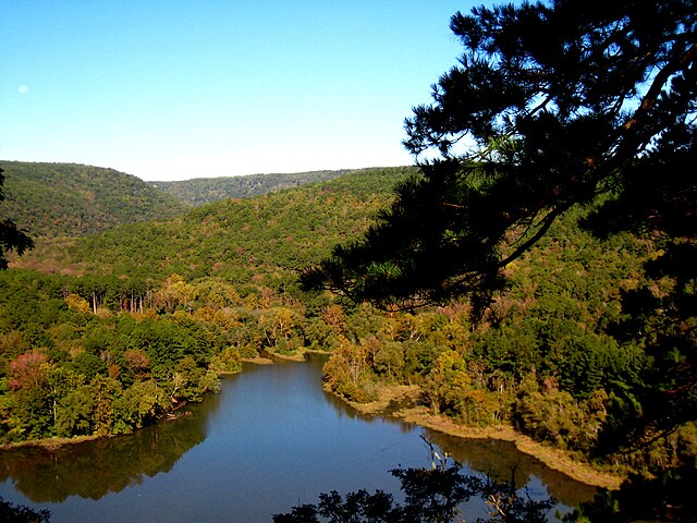 Shores_Lake_