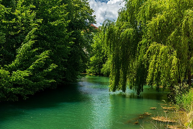 spring river