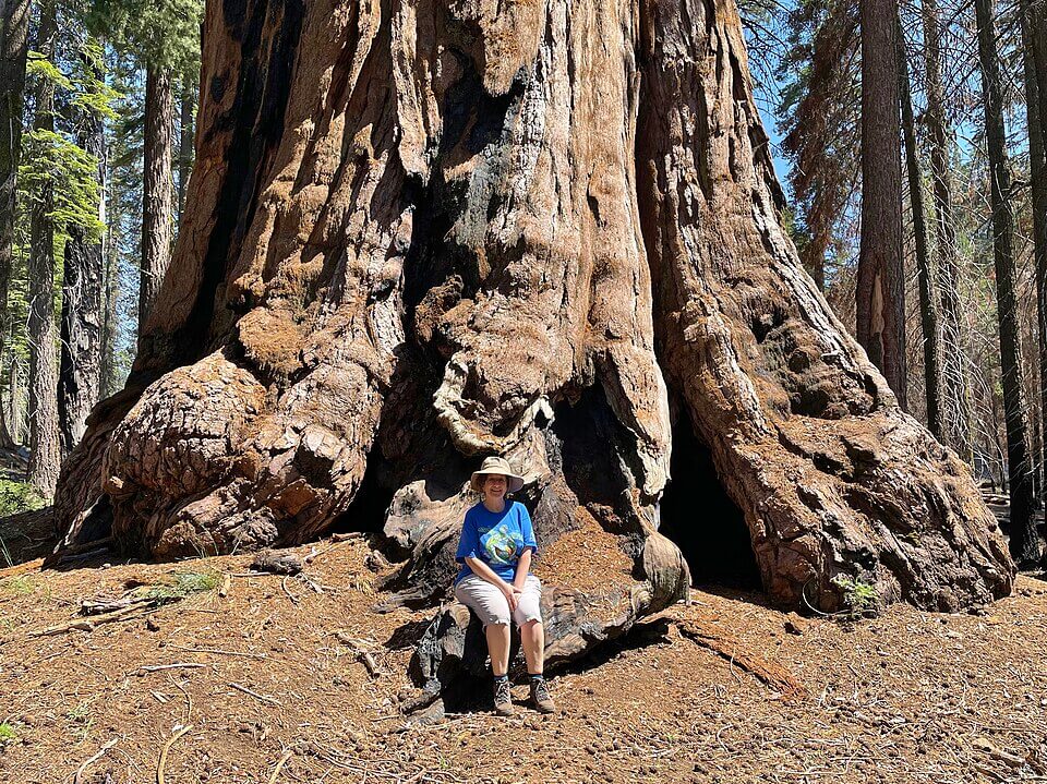Sequoia National Park
