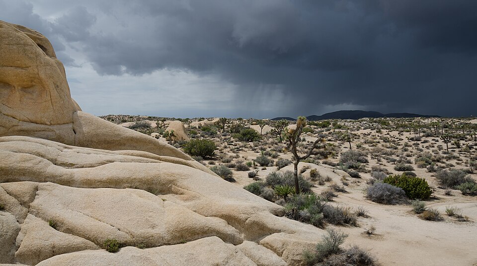 Joshua_Tree_Park_approaching_thunderstorm