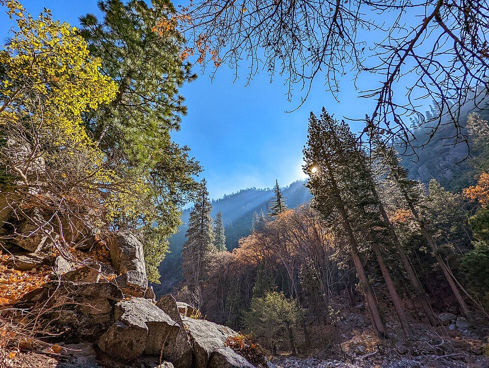 Kings_Canyon_National_Park_
