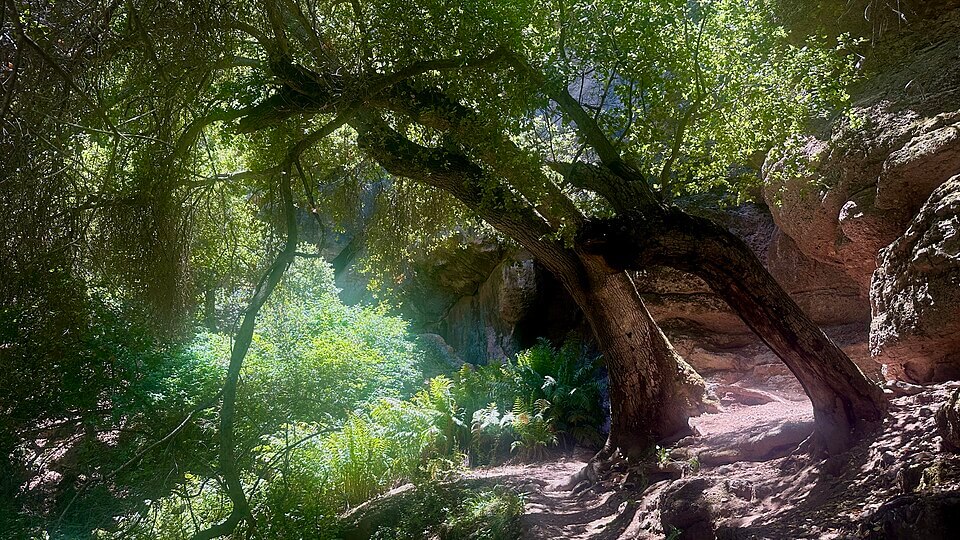 Pinnacles_National_Park_