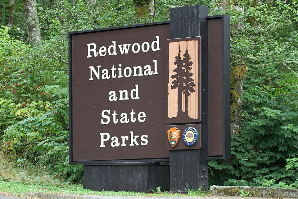 Redwood National and State Parks